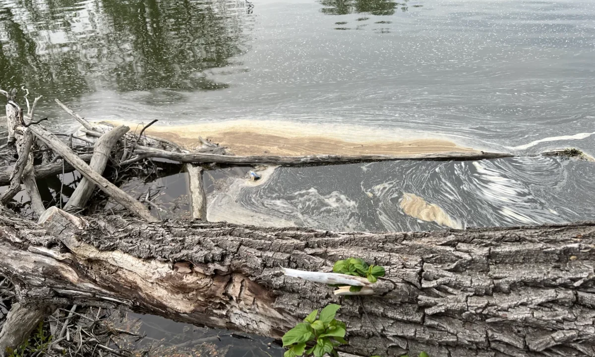 The Forever Crisis: How PFAS Pollution is Eroding the Fundamental Human Right to a Healthy Environment