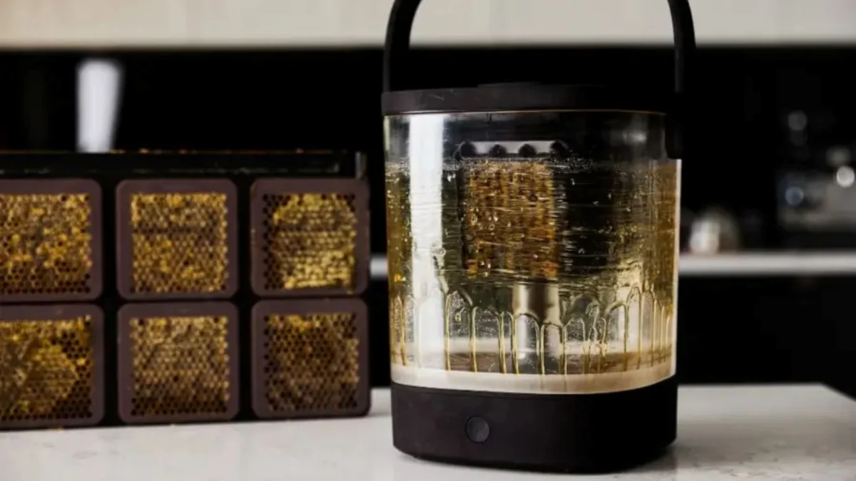 HiveKeepers’ Golden Touch: Why TIME Magazine Named This Victorian Startup a 2026 Global Innovator
