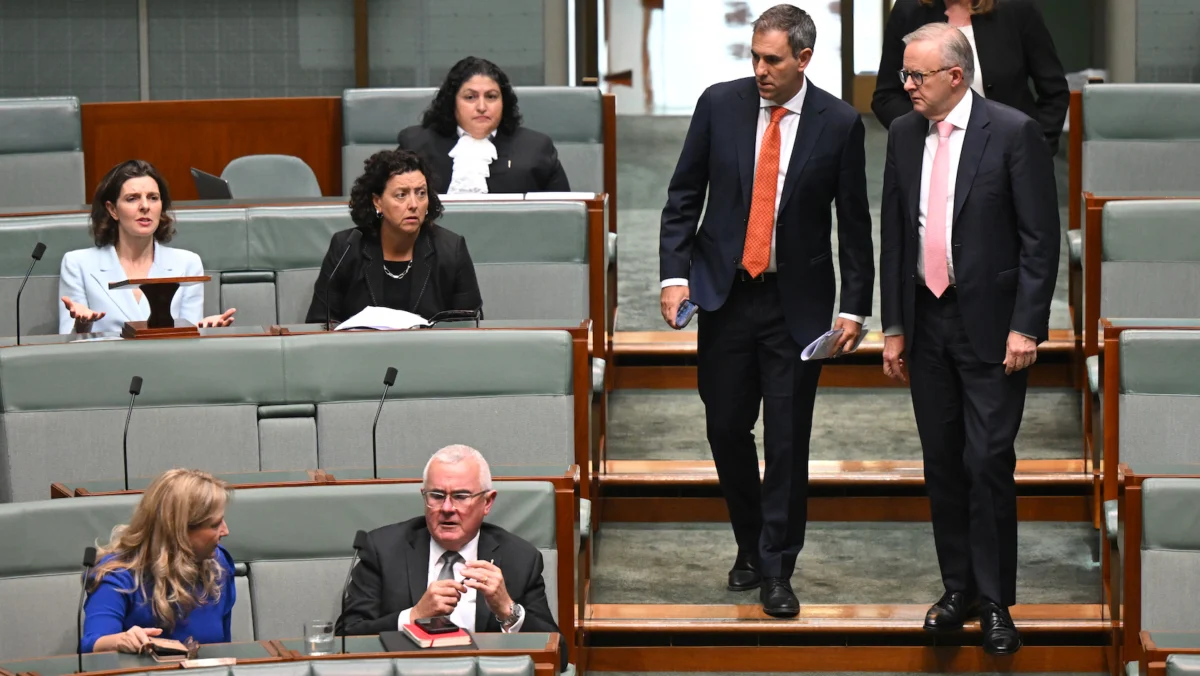 The Great Tax Maze: Allegra Spender Challenges Labor’s Startup CGT Overhaul