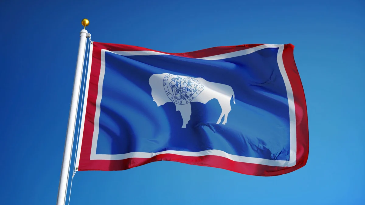 The Wyoming Paradox: How a Push for Tax Relief is Creating a Fiscal Labyrinth